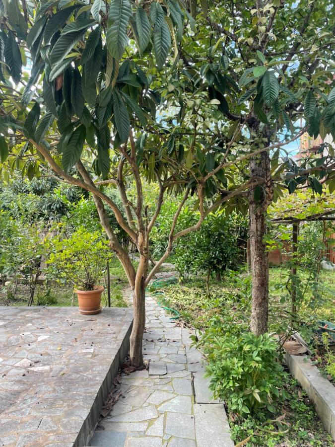 דירות קוטאיסי Gardenie מראה חיצוני תמונה